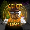 Logo of telegram channel choplifebb — £CHOP LIFE£