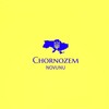 Логотип телеграм -каналу chornozemnews — Новини🇺🇦Чорнозема