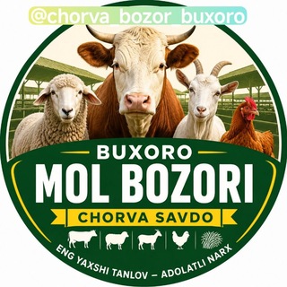 Telegram kanalining logotibi chorva_bozor_buxoro — Buxoro Mol Bozori / Chorva savdo