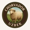 Telegram channel CHORVADOR UZBEK logo
