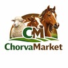 Telegram channel ChorvaMarket uz logo