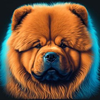 Логотип телеграм -каналу chow_trade — CHOW TRADE