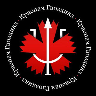 Логотип телеграм канала @chp_live — Красная Гвоздика