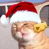 Логотип телеграм канала @chpalyana — паляна🎄