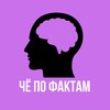 Telegram channel ЧЁ по ФАКТАМ logo