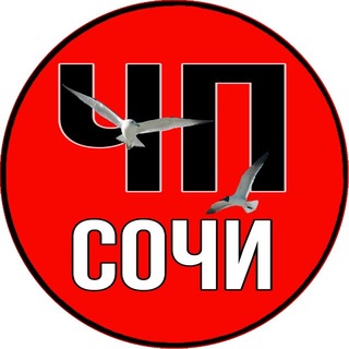 Логотип телеграм канала @chpsochi_top — ЧП СОЧИ | ТОП 🌴