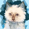Логотип телеграм канала @christa_cat — криста 💎