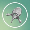 Логотип телеграм канала @christmedschool_anatomy — CMS | Анатомия
