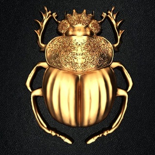 Логотип телеграм канала @chronicle_of_a_beatle — Летопись жука (Исторический канал | History)