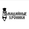 Telegram channel Мидийные Хроники logo