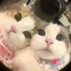 Логотип телеграм канала @chto349 — K.M.(Рест)