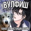 Логотип телеграм канала @chupichupsi — вулфиш🐺🥀