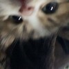 Логотип телеграм канала @chuwapch — подвал для детей😟