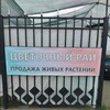 Логотип телеграм канала @chvetrayu36 — ЦВЕТОЧНЫЙ РАЙ ☘☘☘