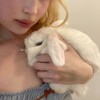 Логотип телеграм канала @cic4do — 𝒞icada 🐰