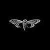 Logo of telegram channel cicad3301 — cicada 3301