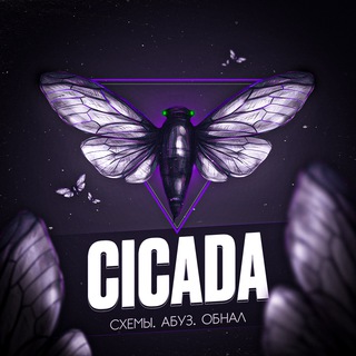 Логотип телеграм канала @cicada_news — CICADA : Путь к успеху
