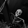 Логотип телеграм канала @cicadadays — Дни Цикад