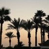 شعار قناة تلجرام cicickckcci — مع المحبرة إلى المقبرة