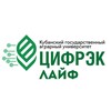 Логотип телеграм канала @cifreklife — ЦифрЭк лайф