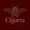 Логотип телеграм канала @cigarraclub — Cine 🪰 Charla 🪰 Comunidad