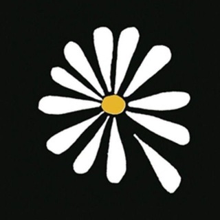Логотип телеграм канала @cigarretsafterthesex — архив историй