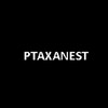 Логотип телеграм -каналу cikavaideyacast — PTAX_A_NEST