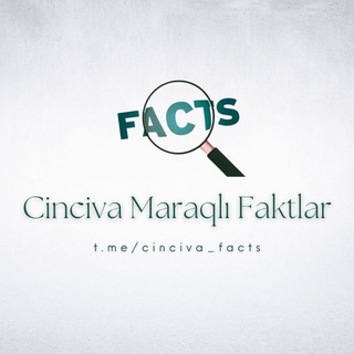 Logo saluran telegram cinciva_facts — Cinciva Maraqlı Faktlar