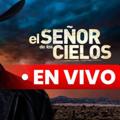 Telegram channel Señor de los cielos Temporada 8 logo