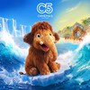 Логотип телеграм канала @cinema5khv — «Синема 5» - кинотеатр в Хабаровске