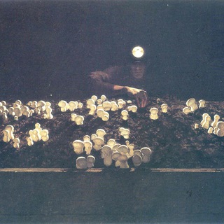 Логотип телеграм канала @cinematfak — Киноклуб Матфака ВШЭ