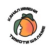 Логотип телеграм канала @cinematiqa — Канал имени Тимоти Шаламе