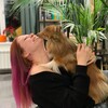 Логотип телеграм канала @cinetrans — Кинотранс
