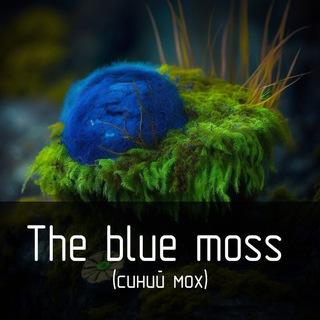 Логотип телеграм канала @cinii_mox — Синий мох ( the blue moss )