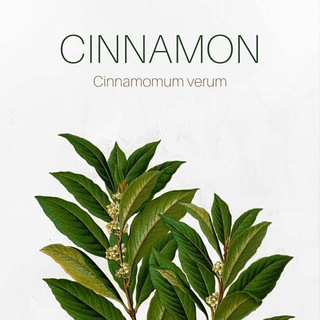 Логотип телеграм канала @cinnamon_shops — Cinnamon