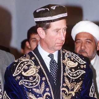 Telegram арнасының логотипі citadi — ЦитАДы