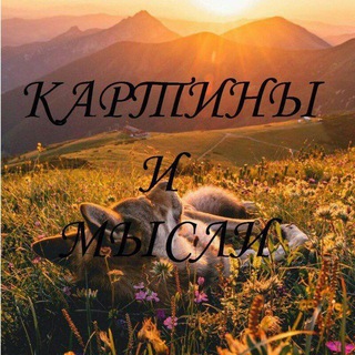Логотип телеграм канала @citati_mira_lyudey — Картины и мысли