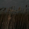 Логотип телеграм канала @citati_grust — Соври мне