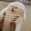 Логотип телеграм канала @citatu_fipsi — Цитатки с ФиПси💥