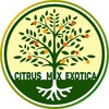 Логотип телеграм канала @citrusmixexotica — Цитрус Микс #citrus_mix_exotica