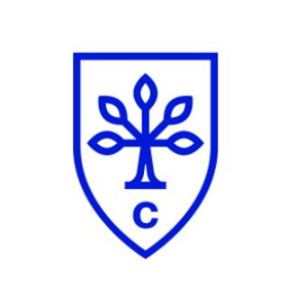 Логотип телеграм канала @citybusinessschool — City Business School