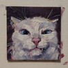 Логотип телеграм канала @cizhk — котосижа