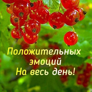 Логотип телеграм канала @ckladnovostei — Склад НОВОСТЕЙ