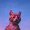 Логотип телеграм канала @cktcorp — CkT©
