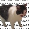 Логотип телеграм канала @claaassssssssss — 12 класс