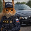 Логотип телеграм канала @clabiy — Маргинальная Мурцевальня Миракла