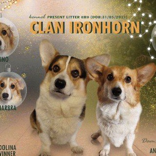 Логотип телеграм канала @clan_ironhorn — 🐶CLAN IRONHORN🐶 corgi🐶корги🐶