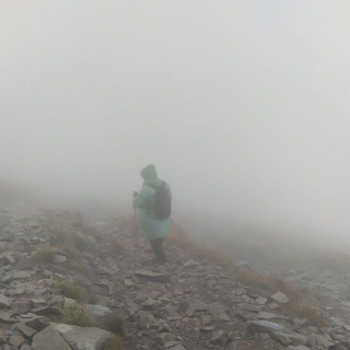 电报频道的标志 classic_muse — feel of music