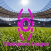 Логотип телеграм канала @clcleguae — Champions League Clubs | ROFL FOOTBALL ⚽