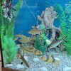 Логотип телеграм канала @clean_aquarium — ОБСЛУЖИВАНИЕ АКВАРИУМОВ